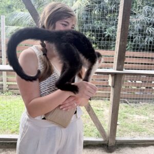 White Faced Capuchin Monkey For Sale